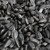 Black Oil Sunflower Seeds 8kg