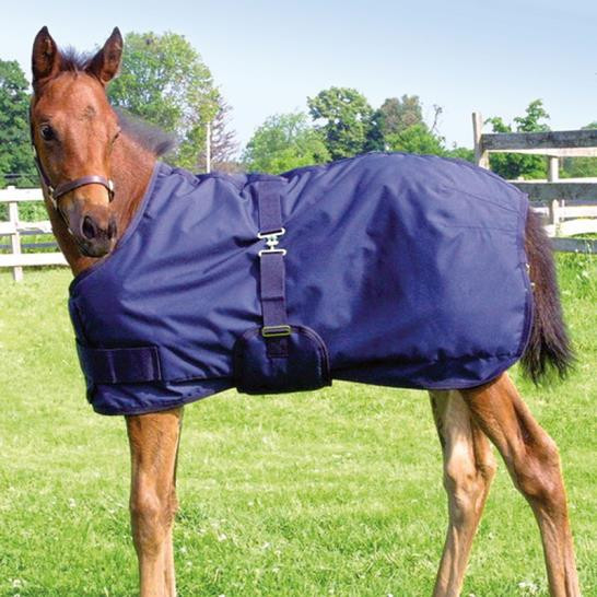Blanket 220gm Foal & Mini Horse
