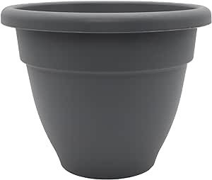 Caribbean Planter 10"