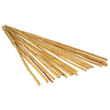 Natural Bamboo Stake 8'