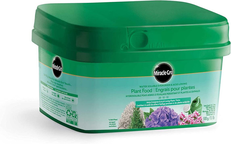 MG Evergreen and Acid Loving Plants 500 Grams