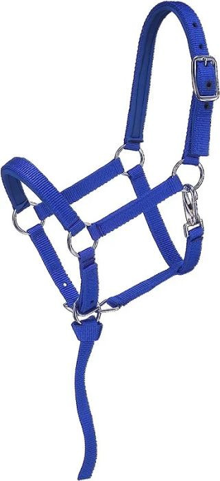 Weaning Foal or Average Mini Nylon Halter