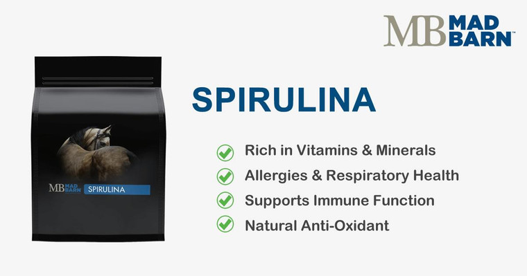 MB Spirulina FP 1kg