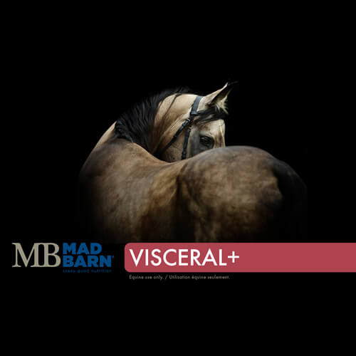 MB Visceral+ 5KG