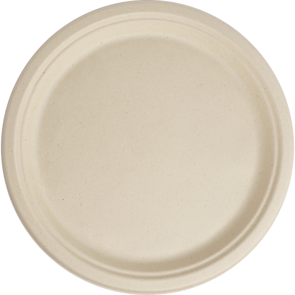 10" Fiber Round Plate
