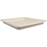 9x9" Fiber Linear Takeout Container, Shallow