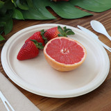 10" Round Fiber Plate, Retail