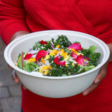 64 oz Fiber Bowl
