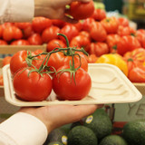 9.1x7.2x.7" 4S Meat and Produce Fiber Tray