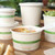NoTree® 12 oz Paper Bowl
