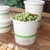 NoTree® 24 oz Paper Bowl