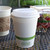 8 oz Paper Hot Cup
