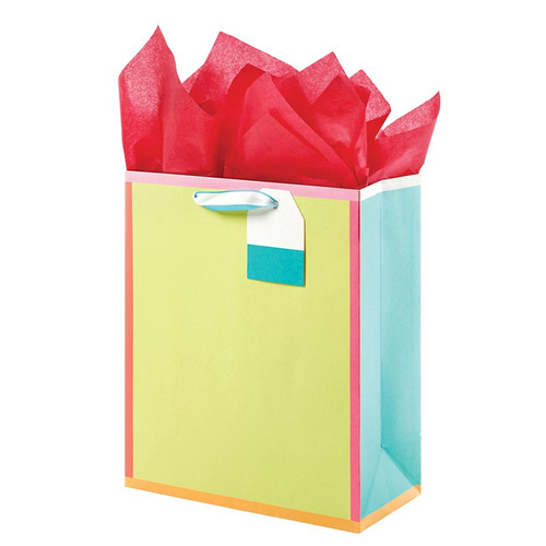 Brights Gift Bag - Medium 