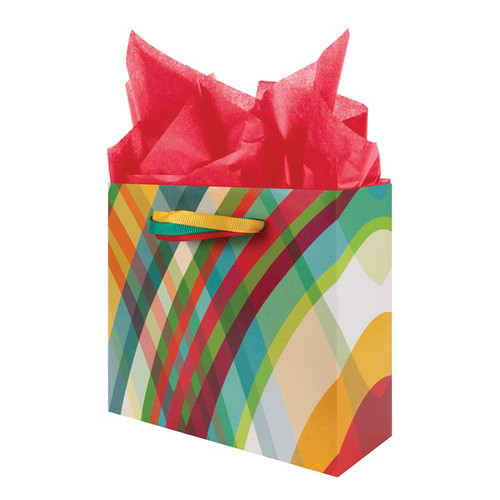 Carnival Gift Bag