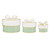 Nested Paper Gift Box - Sage Stripes - Set of 3