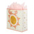 Solar Flair Gift Bag - Large Square