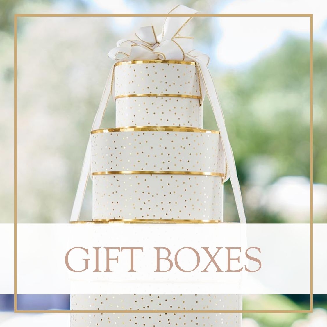shop gift boxes