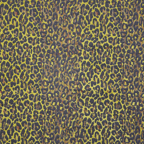 Betsey Fabric by Maxwell