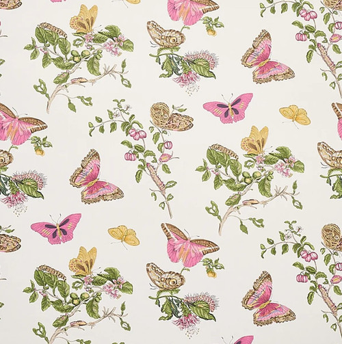 Baudin Butterfly Wallcovering by Schumacher