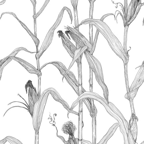 Corn Rows Wallcovering by Merenda Wallpaper