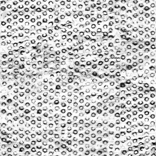 London Grate Wallcovering by Merenda Wallpaper