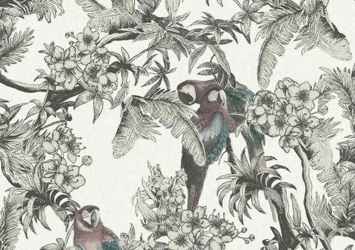 Macaw Wallcovering by S. Harris