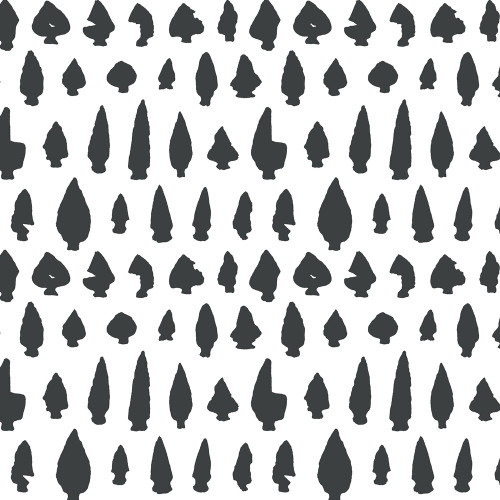 New York Arrowheads Wallcovering by Merenda Wallpaper
