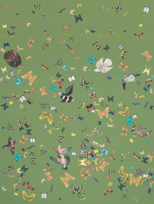 Queen's Flight Wallcovering by Schumacher