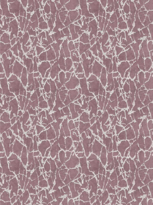 Library Fabric by Stroheim