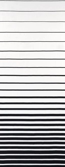 Ribbon Applique Fabric by Schumacher