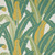 Tropical Isle Fabric by Schumacher