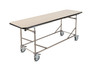 Junkin CT-150 Mortuary Changing Table