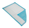 Underpad, 3ply Tissue Blu 24x36 (150/cs) Cs - 150