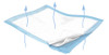 Underpad, Maxi Flow Xlg (10/bg6bg/cs)                Kenico Bg - 10