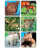 Sticker, Baby Animals (90/pk) Pk - 90
