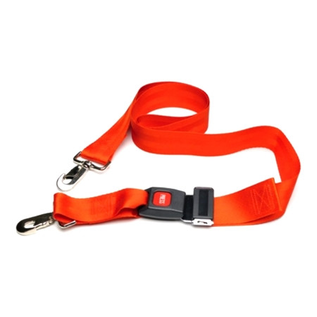 Strap, Spine Board Quick Clip (36ea/cs) Ea - 1