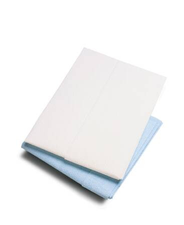 Sheet, Drape 2ply Econ Wht 40x60 (100/cs) Cs - 100