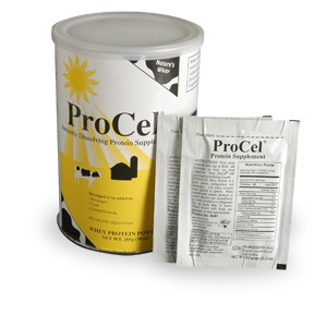 Supplement, Procelwhey Protein10oz (6/cs) Cs - 6