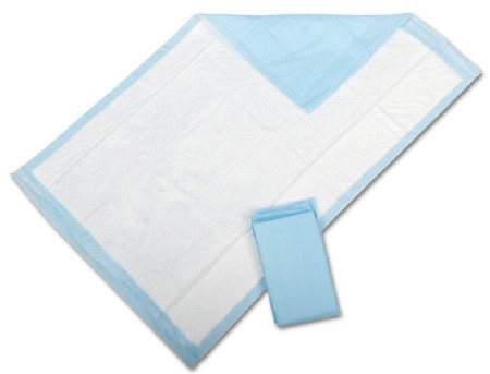 Underpad, Disp Econ 23" (200/cs) Cs - 200