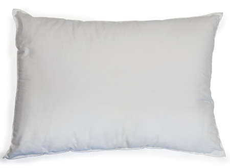 Pillow, Disp Std Loft Wht 17x24 (12/cs) Cs - 12