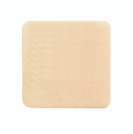 Foam, Adh Sil Lt W/o Border 6"x6" (10/bx 20bx/cs) Bx - 10