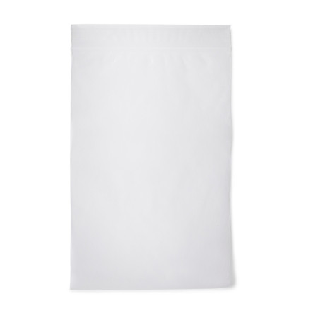 Bag, Ziplock 2ml 6"x9" (100/pk10pk/cs) Pk - 100