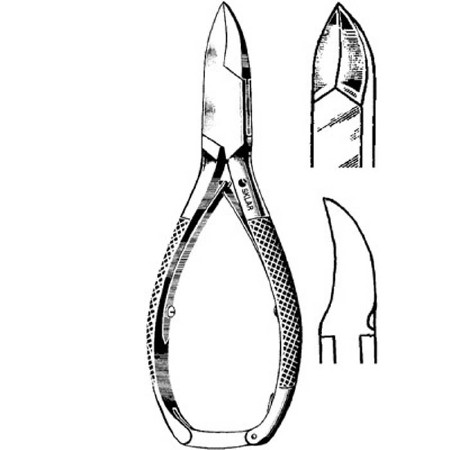 Clipper, Nail Dbl Spring S/s 51/2" Ea - 1