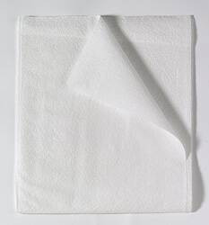 Sheet, Drape 2ply Wht 40x48 (100/ct) Ct - 100