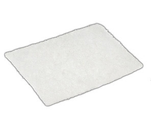 Filter, Cpap S9 & Airsense Hypoallergenic Ea - 1