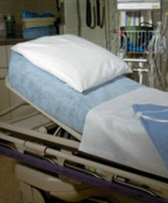 Sheet, Stretcher Blu 40"x89" (25/cs) Cs - 25