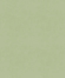 JUNIPER SG FINISH SAMPLE