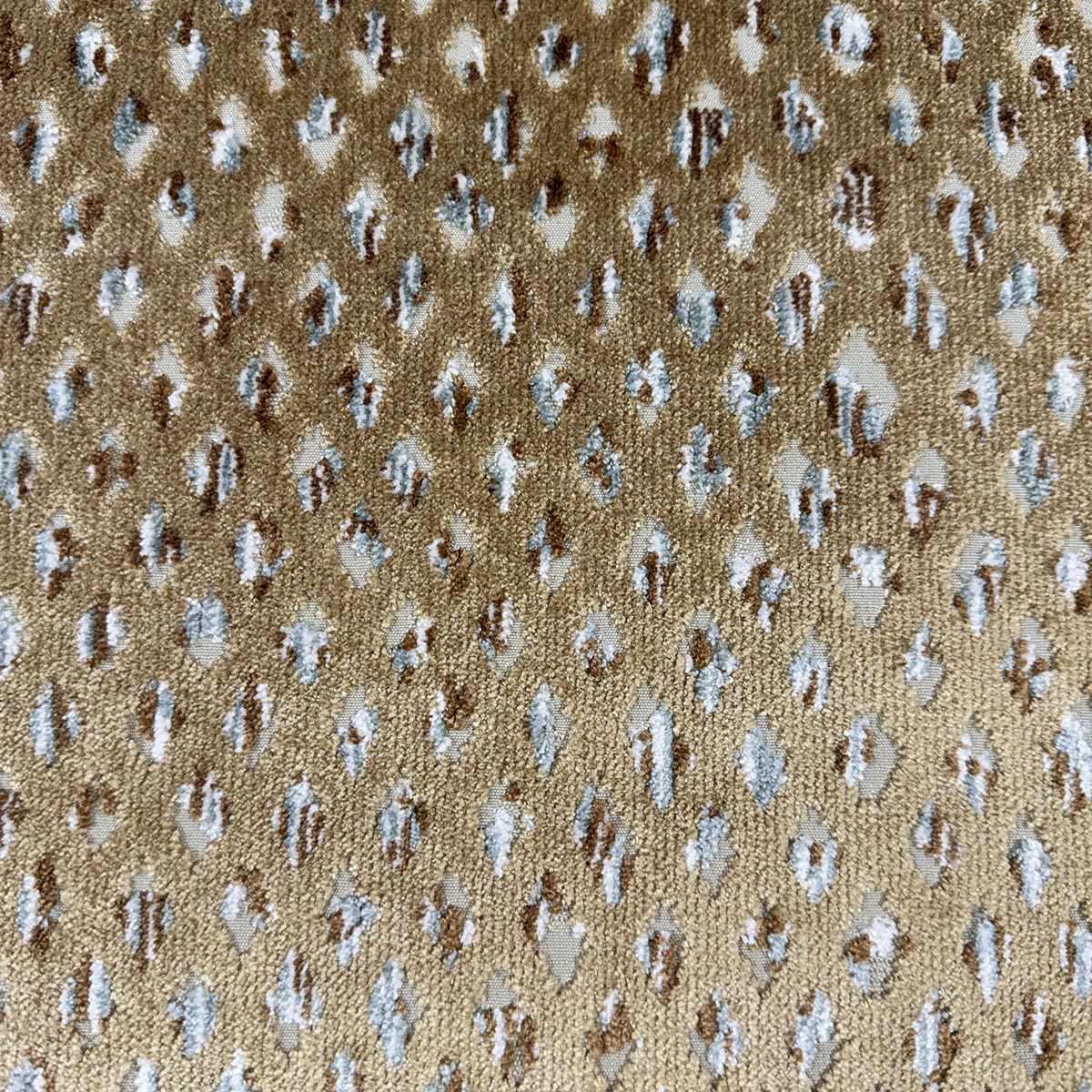 CAIRO CML FINISH SAMPLE