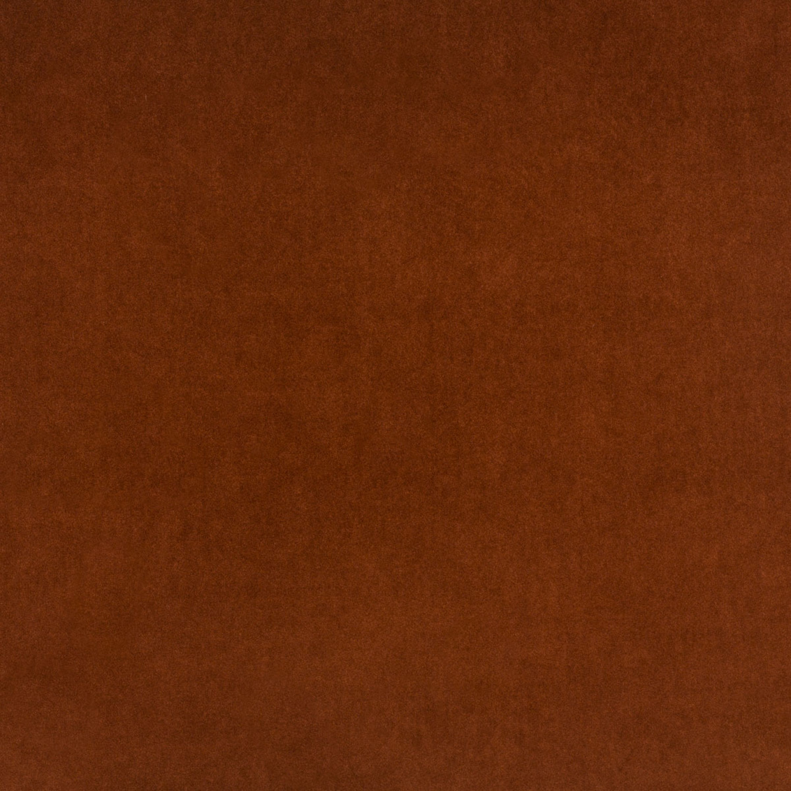 ARDEN G FINISH SAMPLE