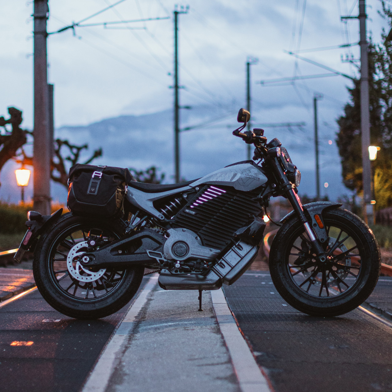 LiveWire SW-Motech Legend Side Bags